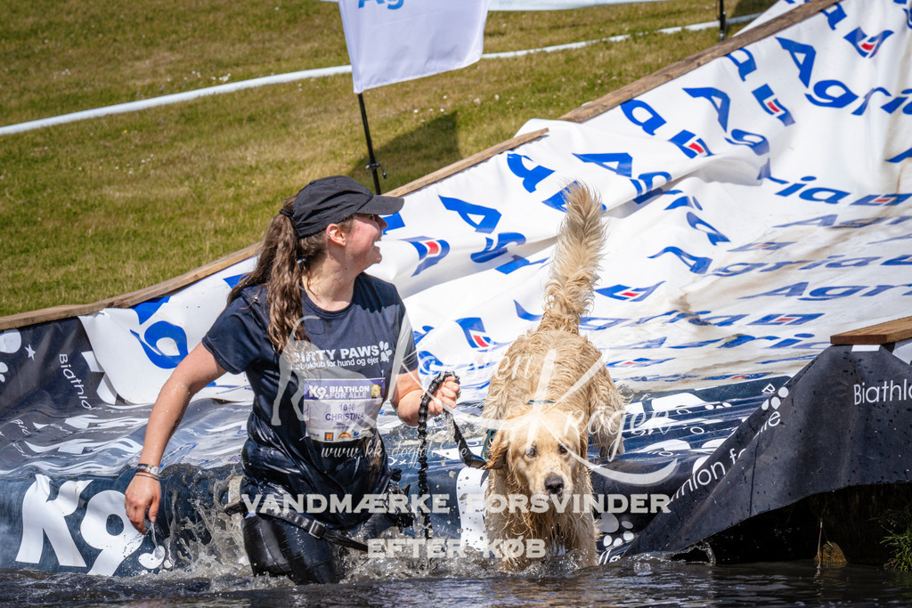 _ZZ959161012 | kk-dogfotos