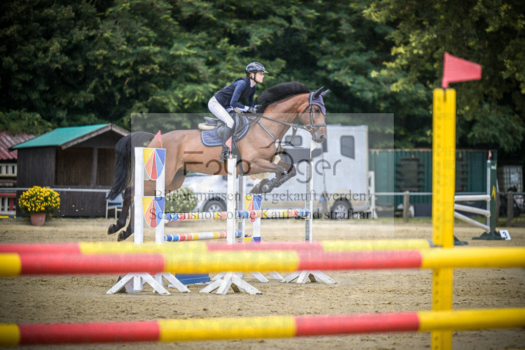 DOS_8573 | Entdecke hochwertige Reitturnierfotos von Foto Oger. Professionell, emotional und authentisch – jetzt Lieblingsmomente im Shop bestellen.Deutschlandweite Turnierfotografie. - Realisiert mit Pictrs.com