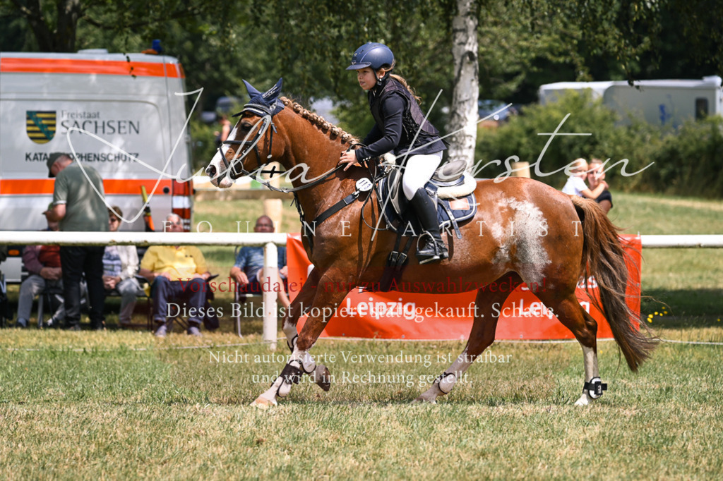 DSC_9220 | Pferde- und Turnierfotografie in Westsachsen. Pferdeportraits, Auftragszeichnungen und intuitive Kunst.