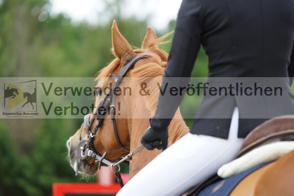 DSC06596 | equestrian-live-com