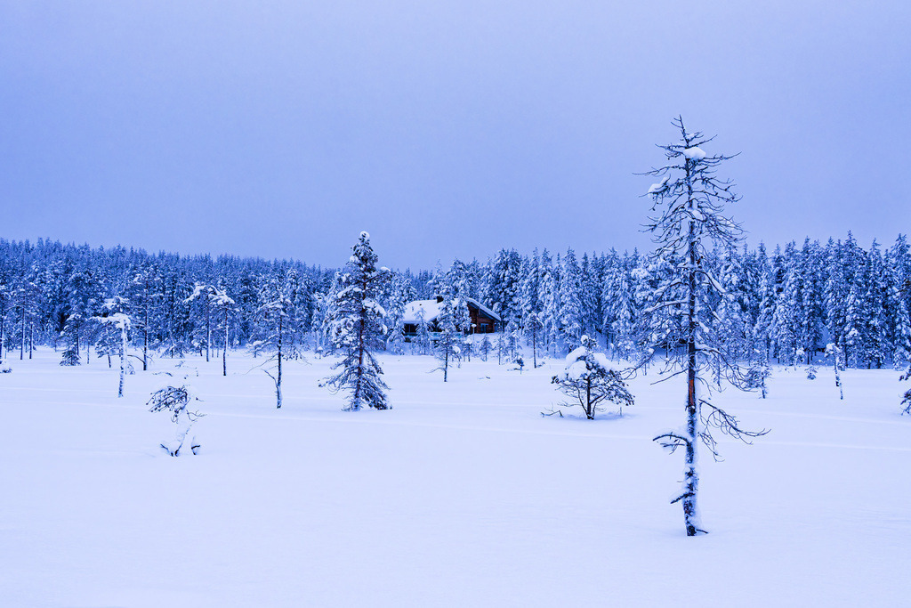 Landschaft im Winter mit Blockhaus und Wald in Äkäslompolo, Finnland | Landschaft im Winter mit Blockhaus und Wald in Äkäslompolo, Finnland.