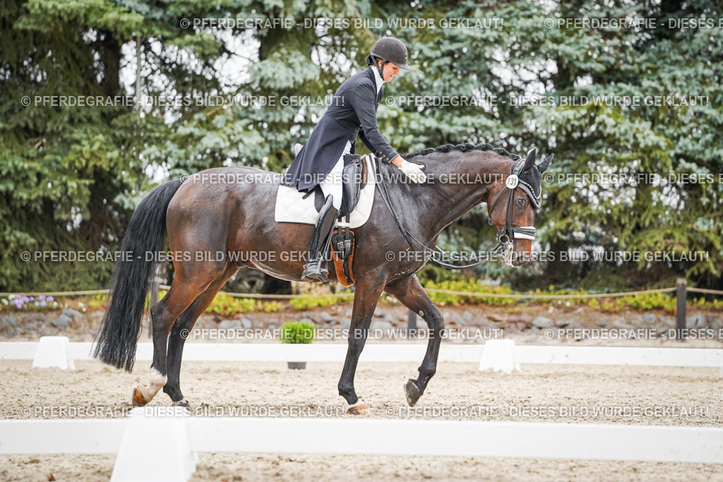 DSC06830 | Pferdegrafie