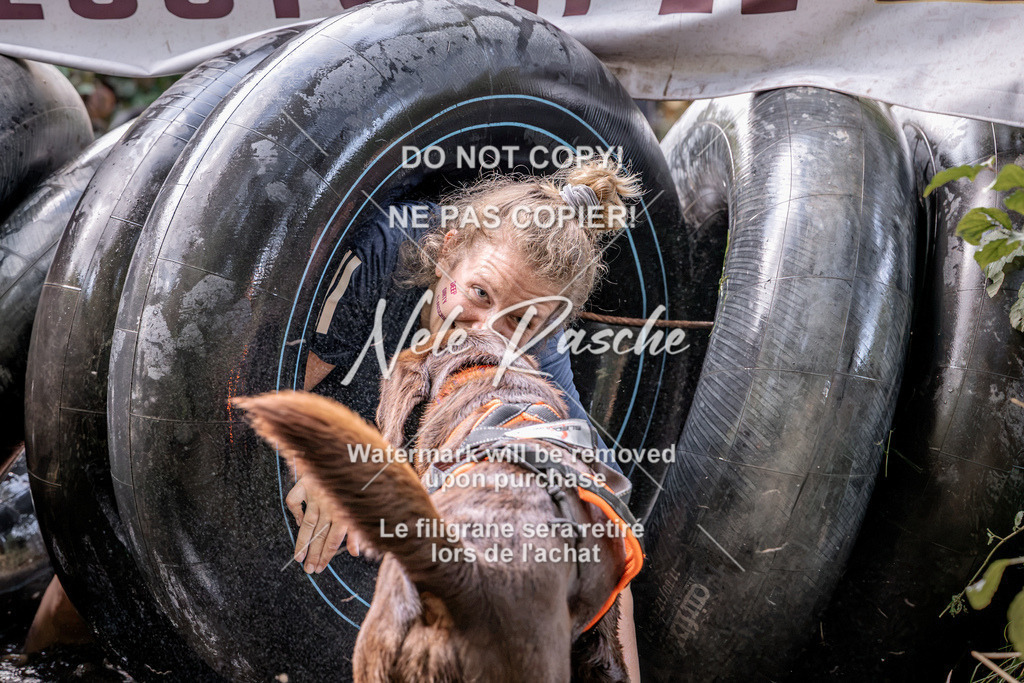 nelerasche_Hunsrück2026_Sa1400-1500_344 | nelerasche