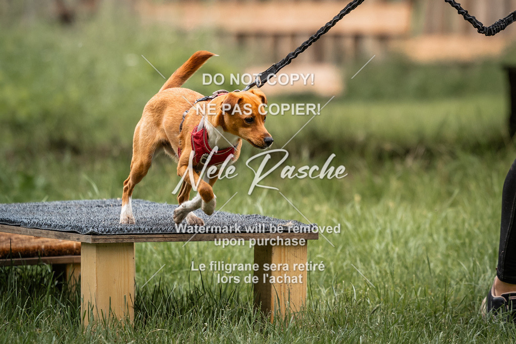 nelerasche_So-funtrail_214 | nelerasche