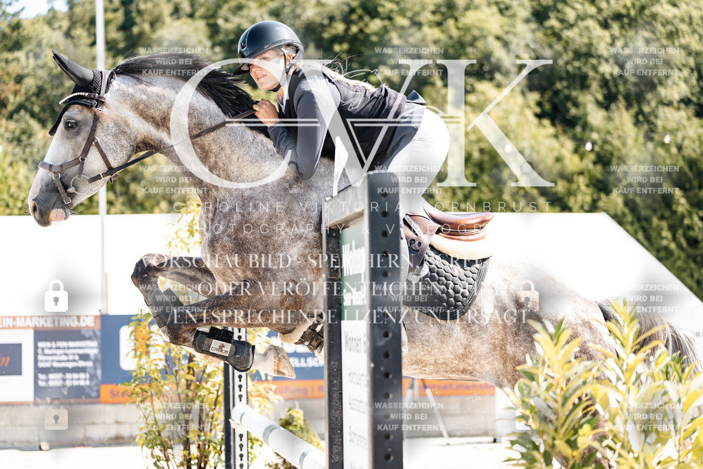 CK908551 | Turnierfotografie Pferdefotografie Trier Rheinland-Pfalz Pferdesport Reitsport Tierfotografie Sportfotografie Pferdevideo Pferdevideografie Equestrianvideography equestrianphotography  - Realisiert mit Pictrs.com