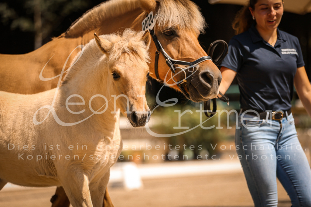 05.DoF00004 | Leoni Ertmer Photography - Realisiert mit Pictrs.com