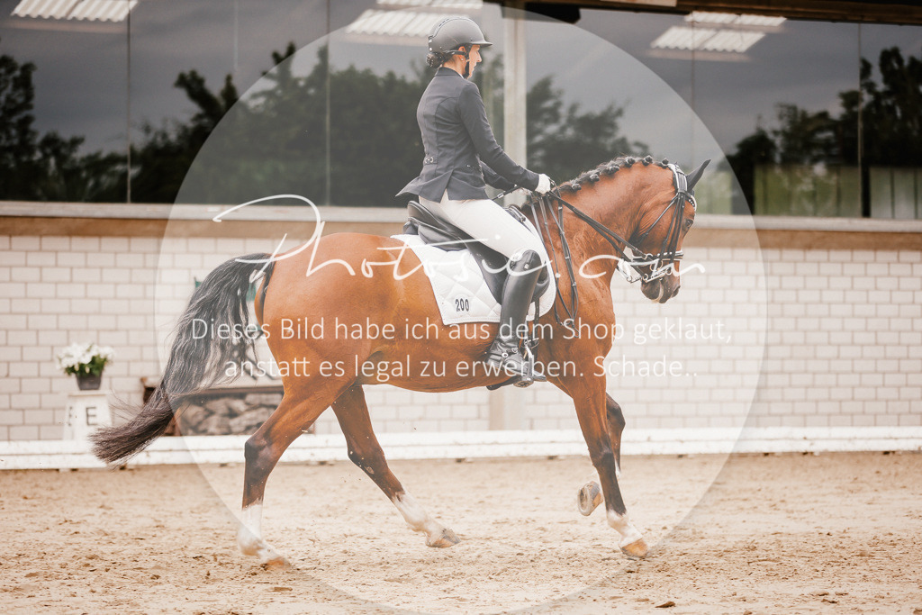 3I6A7677 | Stimmungsvolle Portraits und Reitsportfotografie im Ruhrgebiet und im Münsterland.

Pferdefotografie, Hundefotografie, Tierfotografie, Reportagen, Portraits von Tier und Mensch, Turnierfotografie in Bochum, Recklinghausen, Marl, Haltern am See, Dülmen.. - Realisiert mit Pictrs.com