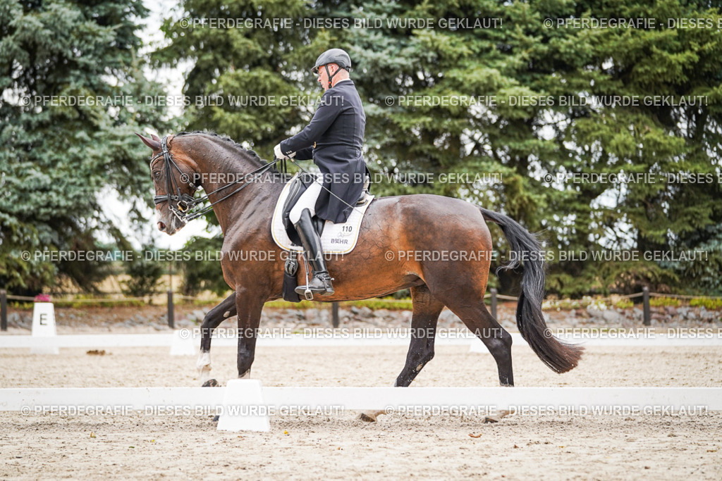 DSC06865 | Pferdegrafie