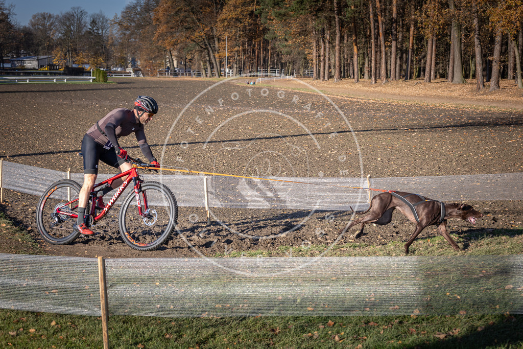 CaniXpix_DV3A2381 | Hundefotografie, Tierfotograf, Pfotenfotografie, Fotoshooting Hund, Hunde Portrait, Hundesport, Hundeportraits, Heideshooting, Hunde, Sportfotograf, Hundefotograf, Turnierhundsport, THS,  - Realisiert mit Pictrs.com