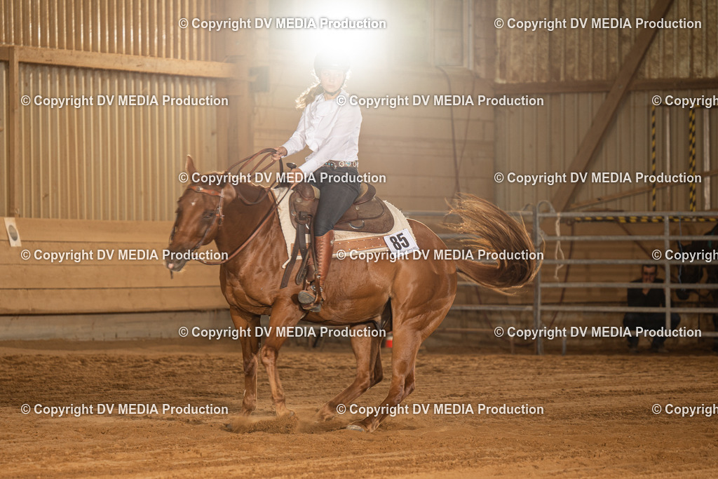 NID03892 | dv-media-shop - Realisiert mit Pictrs.com