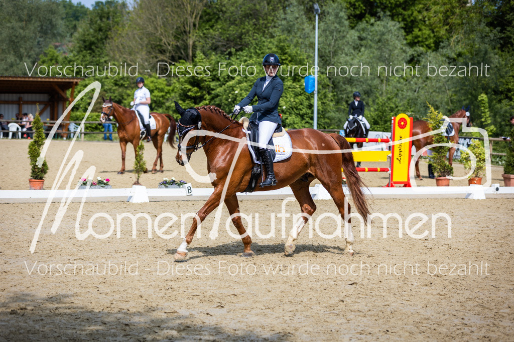 Donop24-L-Dre-014 | MomenTaufnahmen Pferdesportfotos