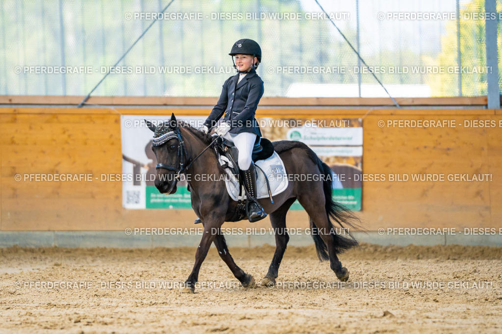 DSC06691 | Pferdegrafie