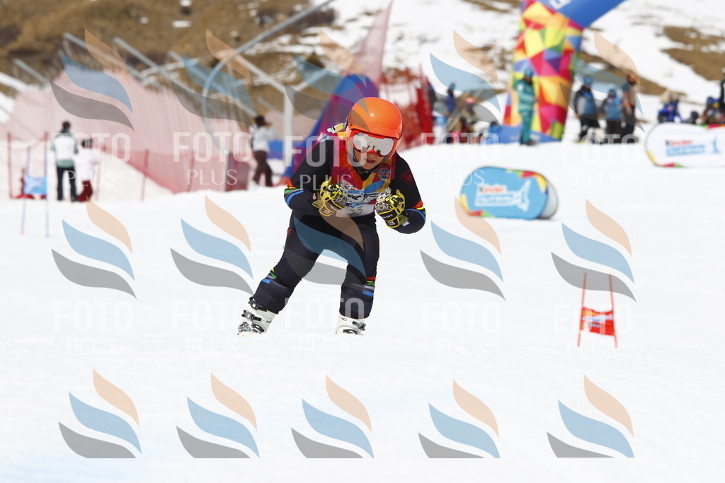 _U3G8197 | holidayphoto