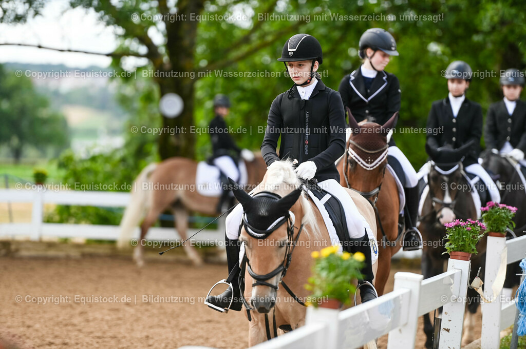 20230716_10-1_Reiter-WB Schritt - Trab - Galopp_0215 | equistock
