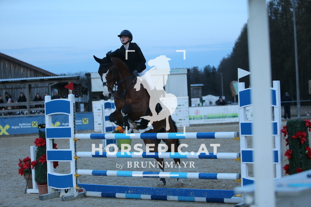 DL2Q4976 | Willkommen bei Brunnmayr - Design & Fotografie – Ihrem Spezialisten für Reitturniere und Pferdeveranstaltungen in Oberösterreich, Salzburg und Bayern! Seit über 17 Jahren sind wir leidenschaftlich dabei.