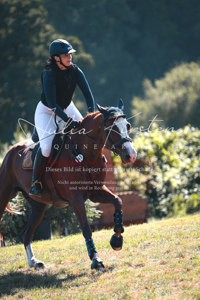DSC_8002 | Pferde- und Turnierfotografie in Westsachsen. Pferdeportraits, Auftragszeichnungen und intuitive Kunst.
