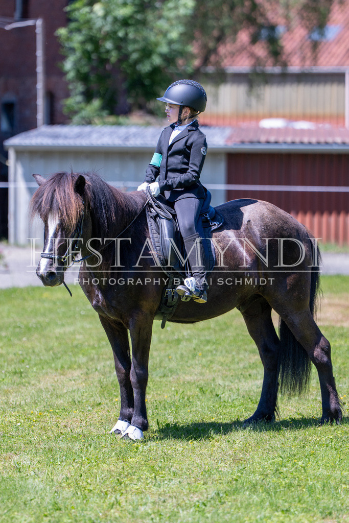 KAI08900 | Ihr sucht einen Fotografen für eure nächste OSI? Ich begleite auch euer Turnier für Islandpferde fotografisch.  - Realisiert mit Pictrs.com