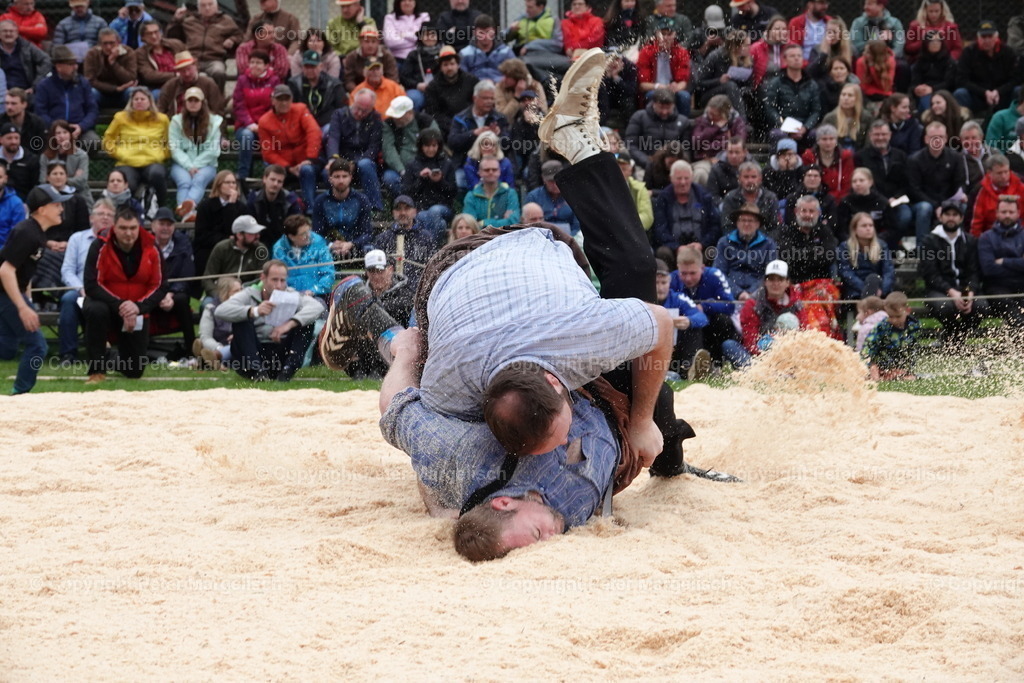DSC03423 | Schwingen - Realisiert mit Pictrs.com