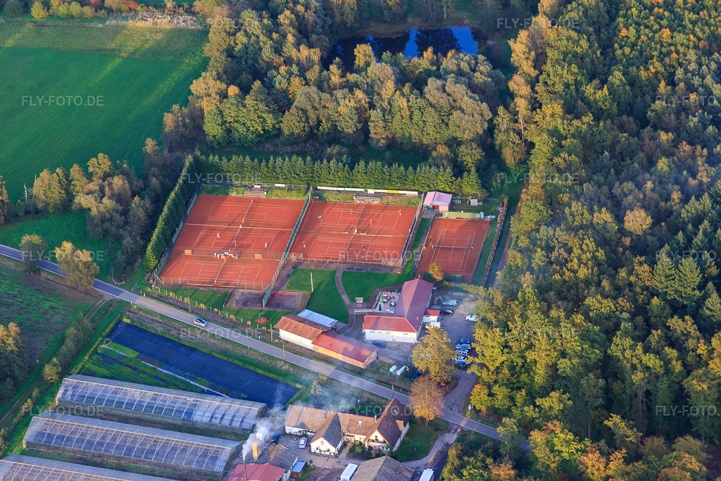 Luftbild: Waldhof Frey am Rand des Bienwalds und Tennisplätze in Steinfeld im Bundesland Rheinland-Pfalz in Deutschland. Foto: IMG_074702.jpg vom 14.10.2014 durch Werner Riehm/FLY-FOTO.de