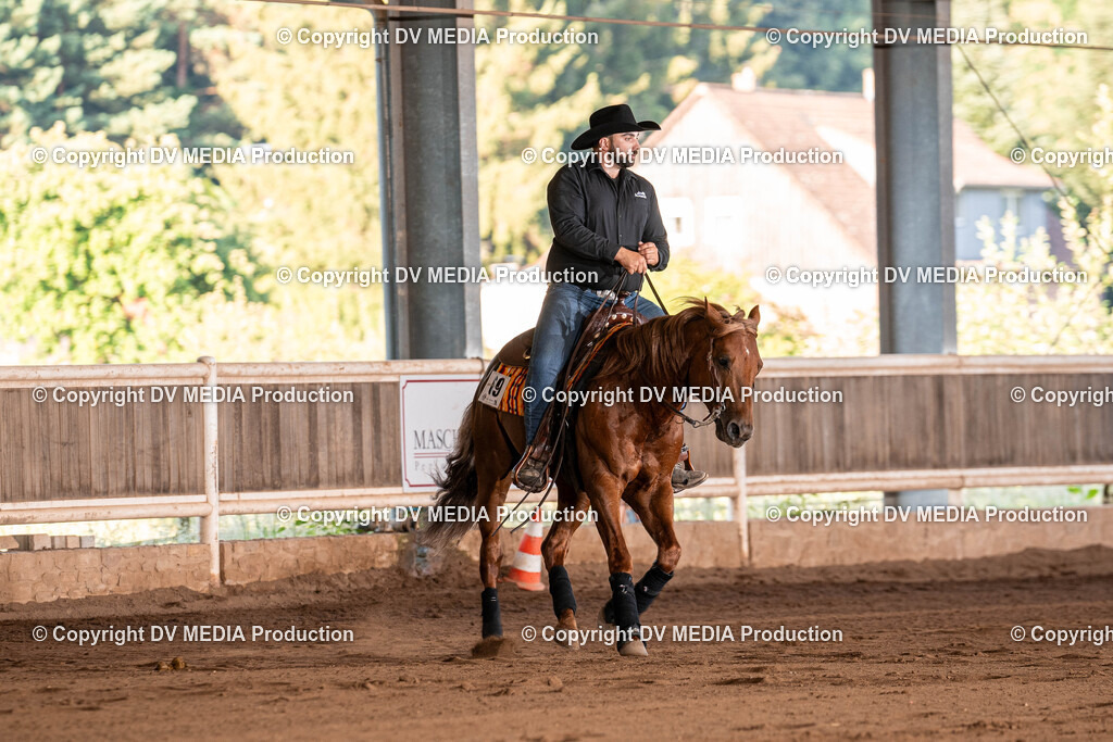 Erbach Tag 2-1187 | dv-media-shop - Realisiert mit Pictrs.com