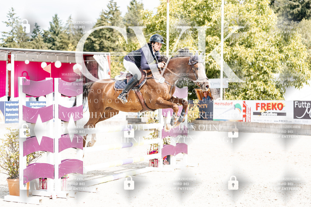 CK908987 | Turnierfotografie Pferdefotografie Trier Rheinland-Pfalz Pferdesport Reitsport Tierfotografie Sportfotografie Pferdevideo Pferdevideografie Equestrianvideography equestrianphotography  - Realisiert mit Pictrs.com