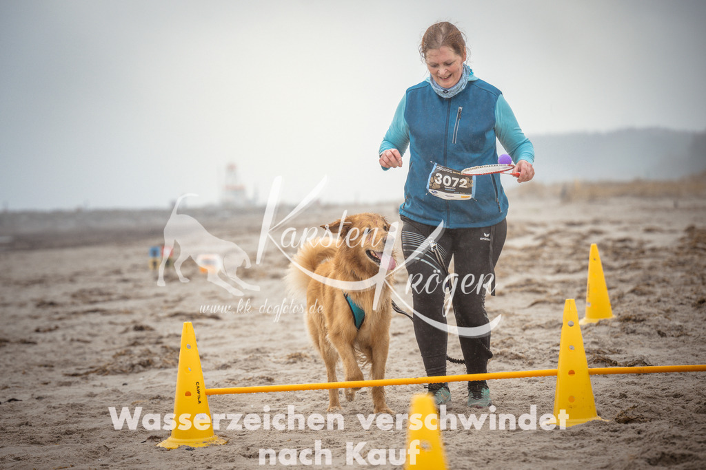 1113_ZZ97287 | kk-dogfotos