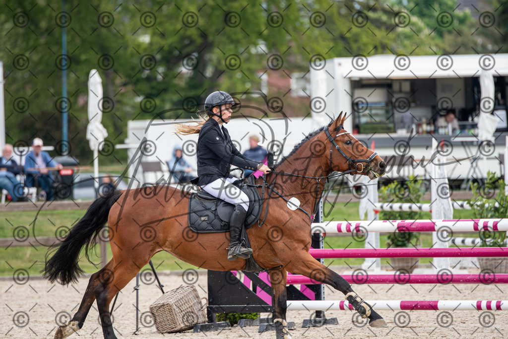 KPT_3450 | andre_photographic