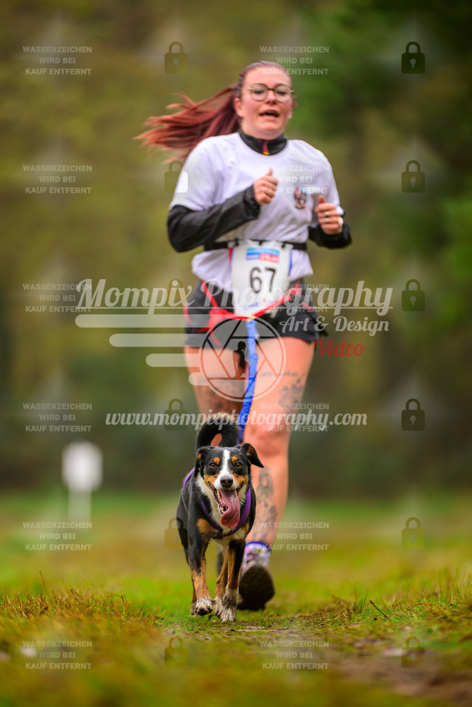 MompixPhotography_Bischwiller2025_Canicross-174 | mompixphotography