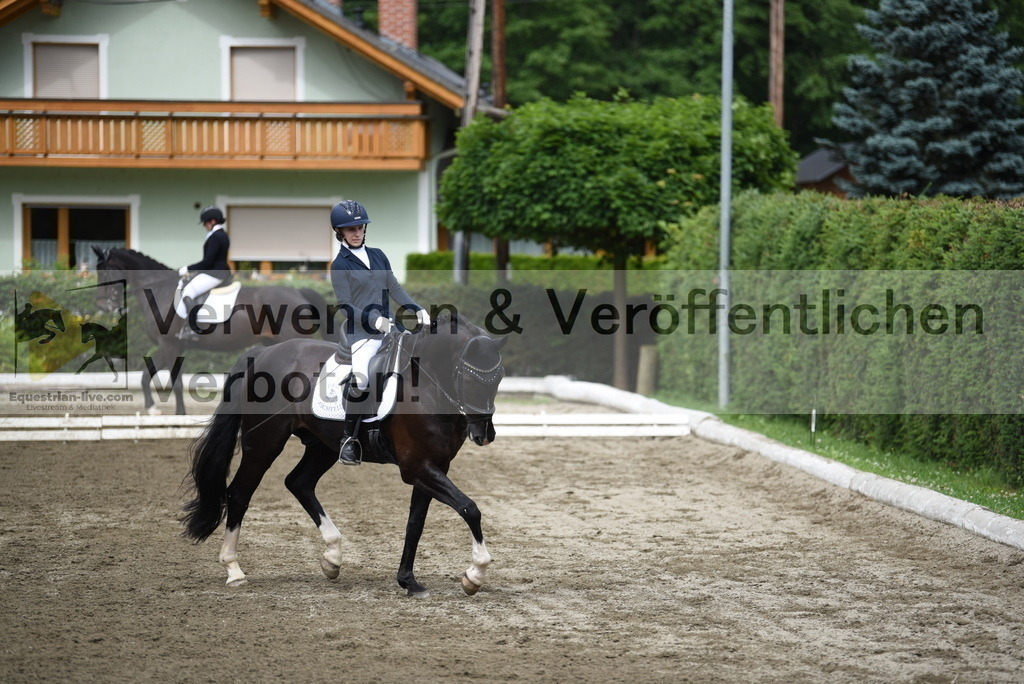 DSC_4488 | equestrian-live-com