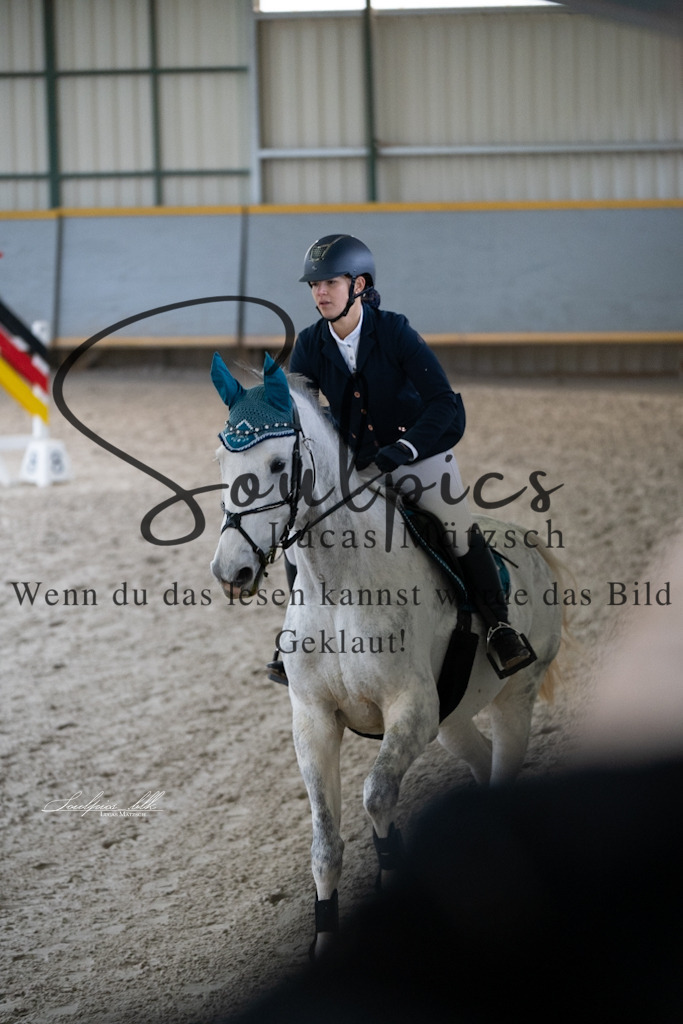 A7V01044 | Pferdefotograf