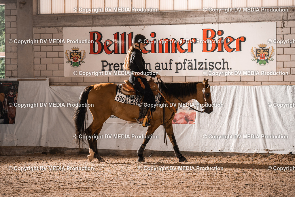 ZH300227 | dv-media-shop - Realisiert mit Pictrs.com