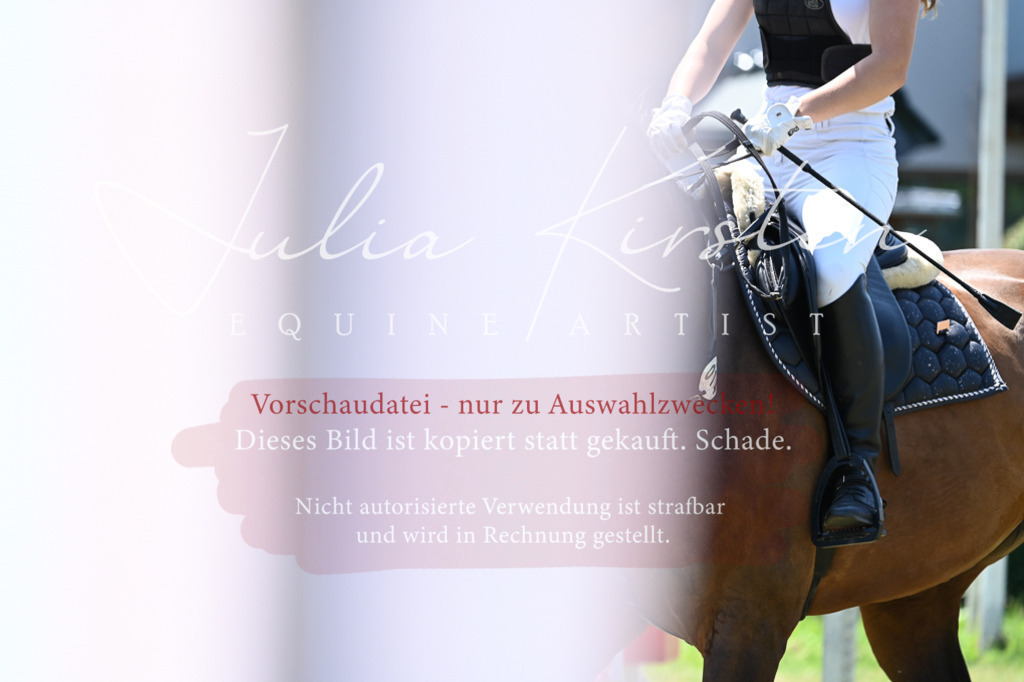 DSC_0240 | Pferde- und Turnierfotografie in Westsachsen. Pferdeportraits, Auftragszeichnungen und intuitive Kunst.
