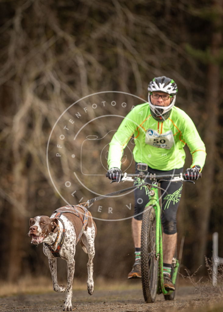 DV3A3420 | Hundefotografie, Tierfotograf, Pfotenfotografie, Fotoshooting Hund, Hunde Portrait, Hundesport, Hundeportraits, Heideshooting, Hunde, Sportfotograf, Hundefotograf, Turnierhundsport, THS,  - Realisiert mit Pictrs.com