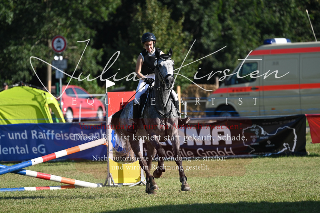 DSC_4866 | Pferde- und Turnierfotografie in Westsachsen. Pferdeportraits, Auftragszeichnungen und intuitive Kunst.