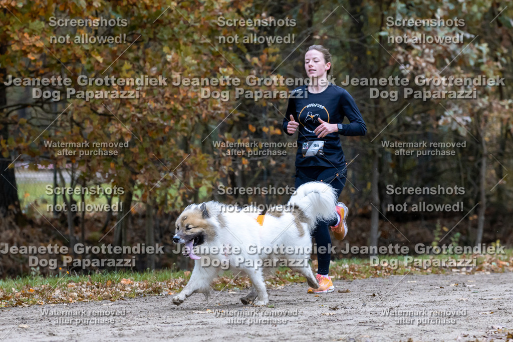 Dog Paparazzi - SD CaniX Championship 2025-375 | Dog Paparazzi Jeanette Grottendiek Fotografie & Videografie - Realisiert mit Pictrs.com