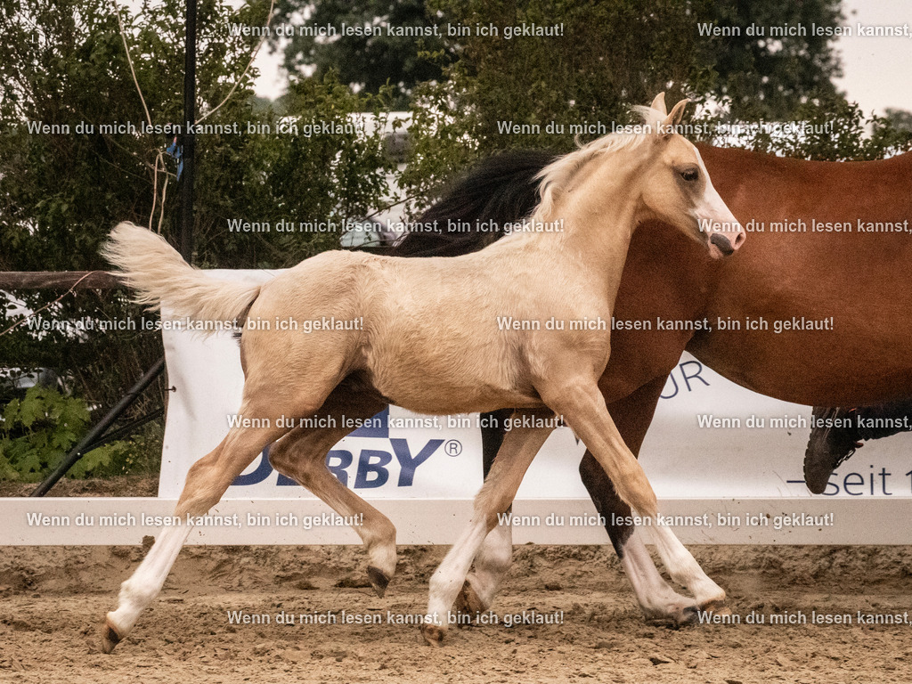 A10I2049 15.54.45 | photographylinaismer - Realisiert mit Pictrs.com