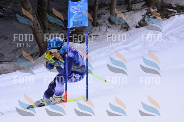 A5238 | holidayphoto