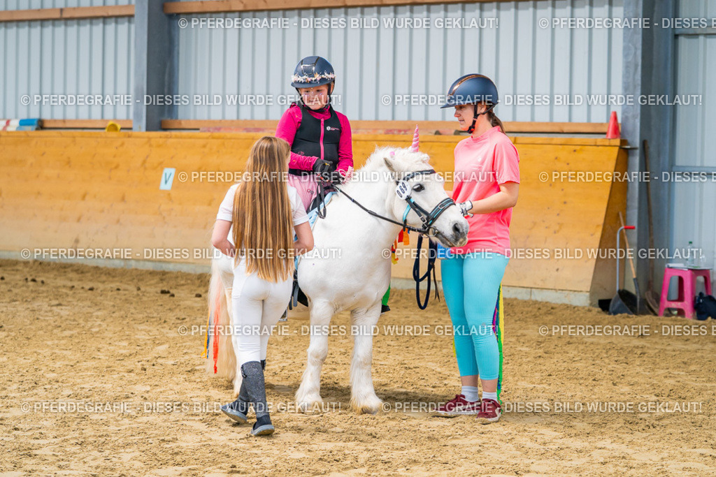 DSC00845 | Pferdegrafie