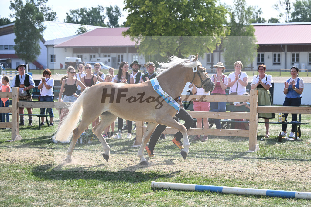 Kat-Nr. 9 Giorgia G_Grandauer_20231630 | hf-fotografie - Realisiert mit Pictrs.com