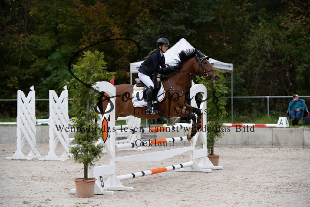 A7V09937 | Pferdefotograf