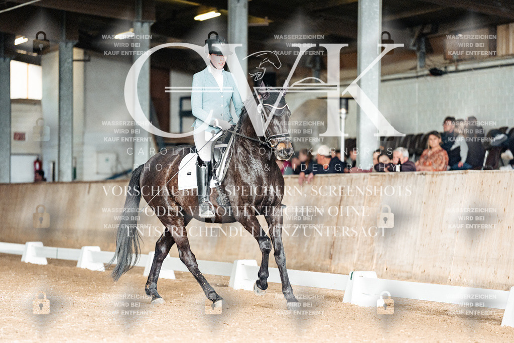 CK903223 | Turnierfotografie Pferdefotografie Trier Rheinland-Pfalz Pferdesport Reitsport Tierfotografie Sportfotografie Pferdevideo Pferdevideografie Equestrianvideography equestrianphotography  - Realisiert mit Pictrs.com