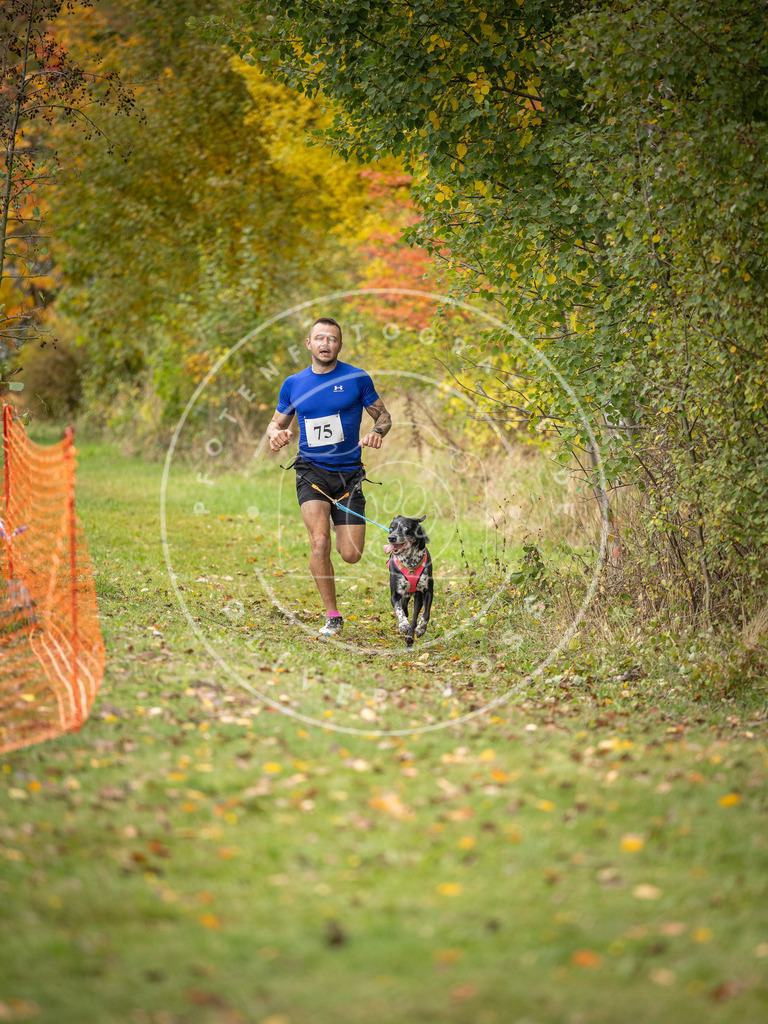 Pfotenfotografie_DV3A2915 | Hundefotografie, Tierfotograf, Pfotenfotografie, Fotoshooting Hund, Hunde Portrait, Hundesport, Hundeportraits, Heideshooting, Hunde, Sportfotograf, Hundefotograf, Turnierhundsport, THS,  - Realisiert mit Pictrs.com