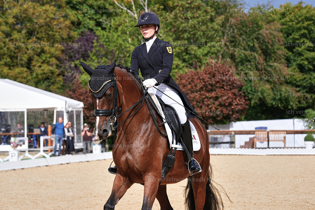 11-003-Dressur S___-Marixx-1731 | working equitationturnier fotograf videograf stoibphotography marixx film working equitation deutschland reitsport turnierfotografie eventfotografie equestrian events