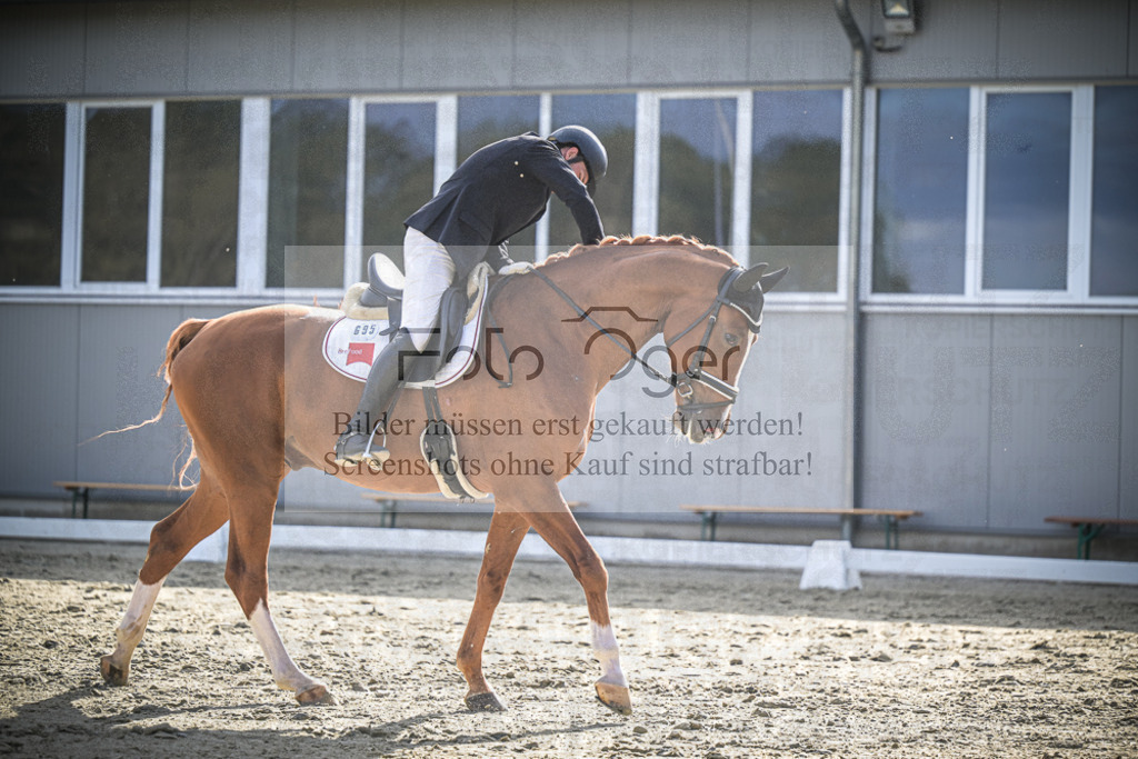 DOS_0851 | Entdecke hochwertige Reitturnierfotos von Foto Oger. Professionell, emotional und authentisch – jetzt Lieblingsmomente im Shop bestellen.Deutschlandweite Turnierfotografie. - Realisiert mit Pictrs.com