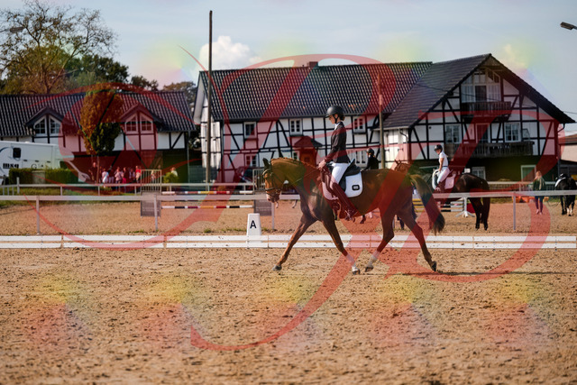2026_10_03_Siefer-Hof_132849_Z63_90181224 | Professionelle Reitsport-, Turnier- und Eventfotografie von Robert Broda. Galerien mit ausgewählten und bearbeiteten Bildern direkt online ansehen und bestellen.