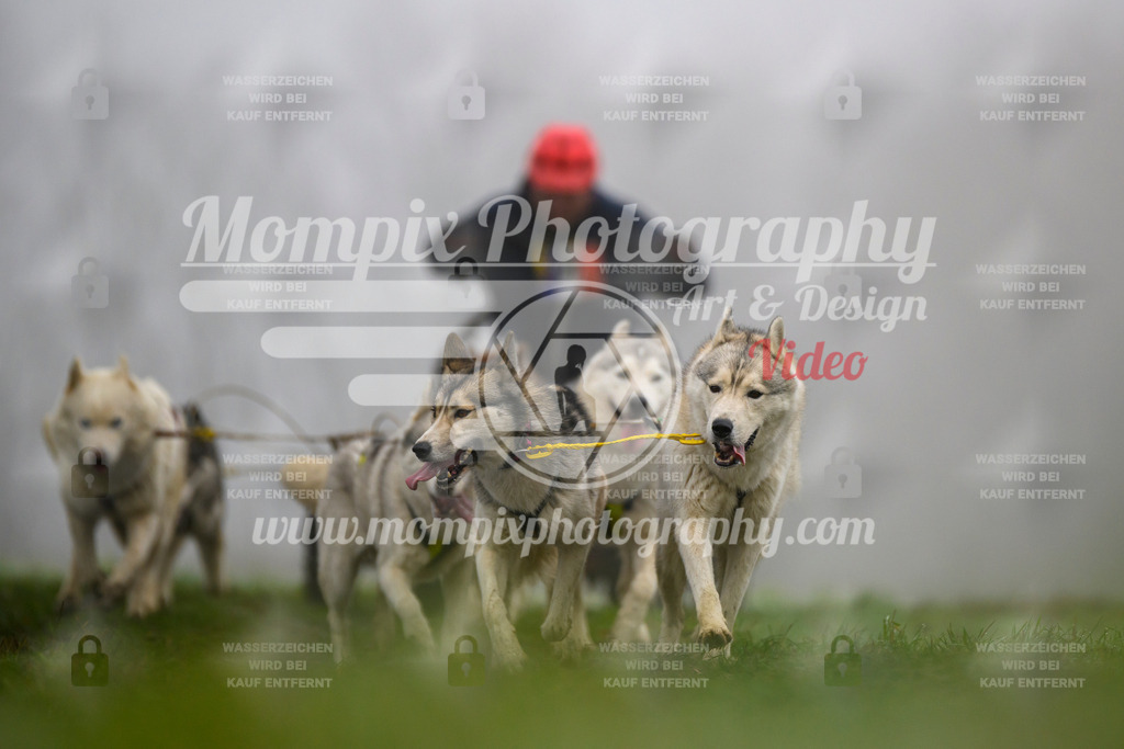 MompixPhotography_CDF2023_FFST_Di_Kart-95 | PayLife