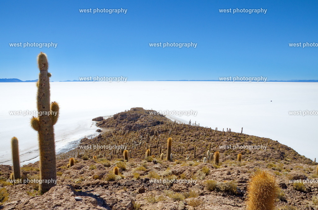 Salar de Uyuni 5 - BVN 2015 | west photography - Realisiert mit Pictrs.com
