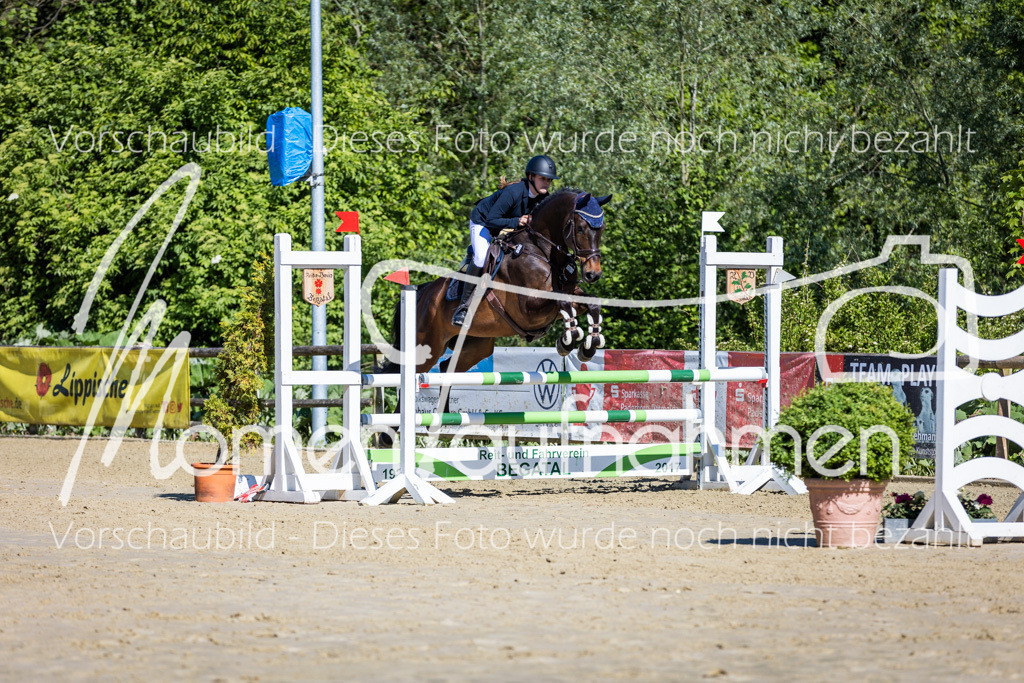 Donop24-A2Spr-049 | MomenTaufnahmen Pferdesportfotos