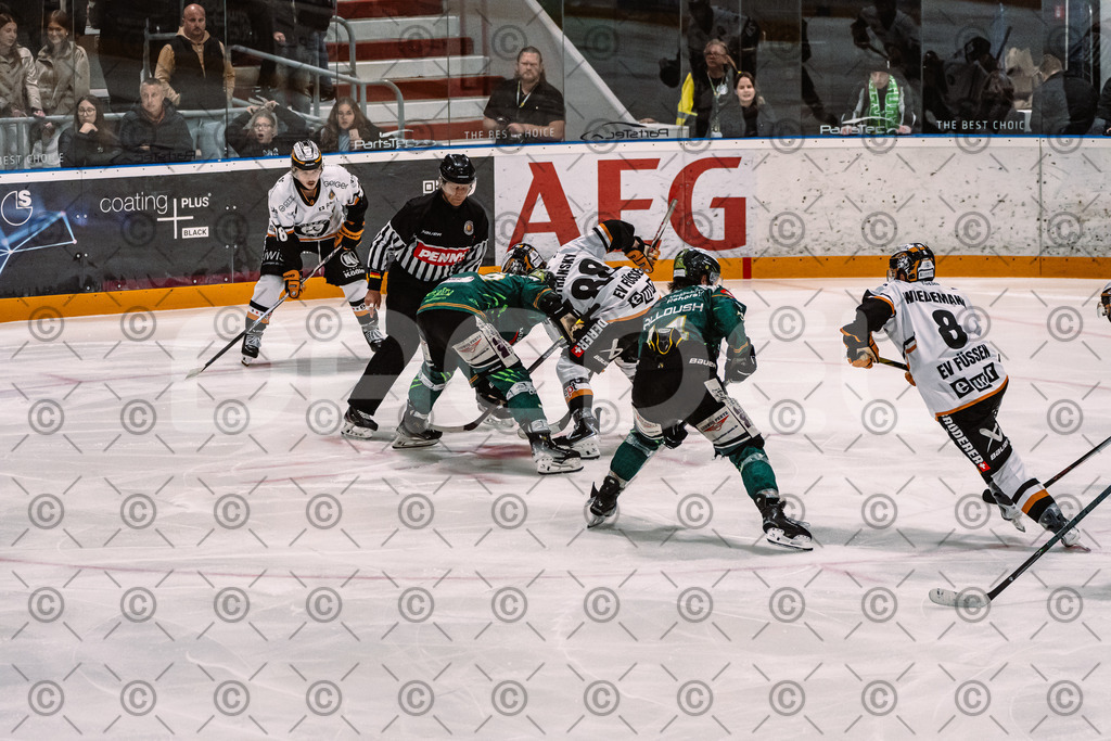 Alligators_vs_Fuessen_27_09_2026-38 | Die Fotogalerie von Daddel: professionelle Bilder von Sport, Events und Unternehmen aus Franken. Jetzt Galerien durchstöbern und Lieblingsfotos bestellen. - Realisiert mit Pictrs.com