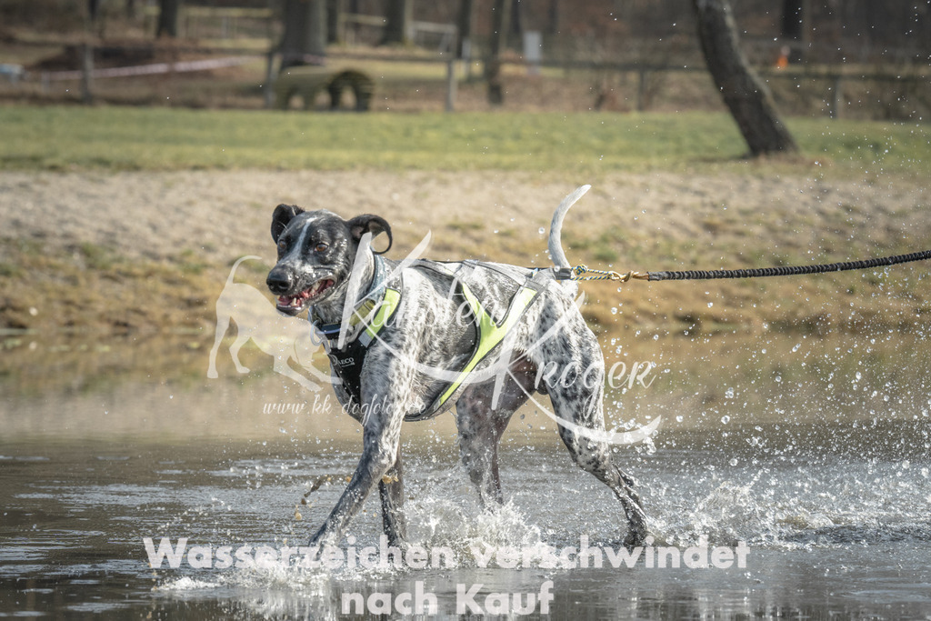 1035_ZZ98353 | kk-dogfotos